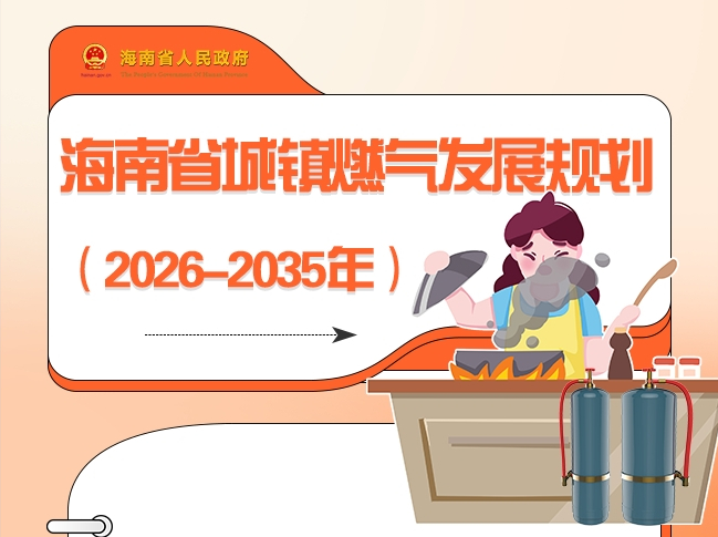 图解 | 海南省城镇燃气发展规划（2026-2035年）